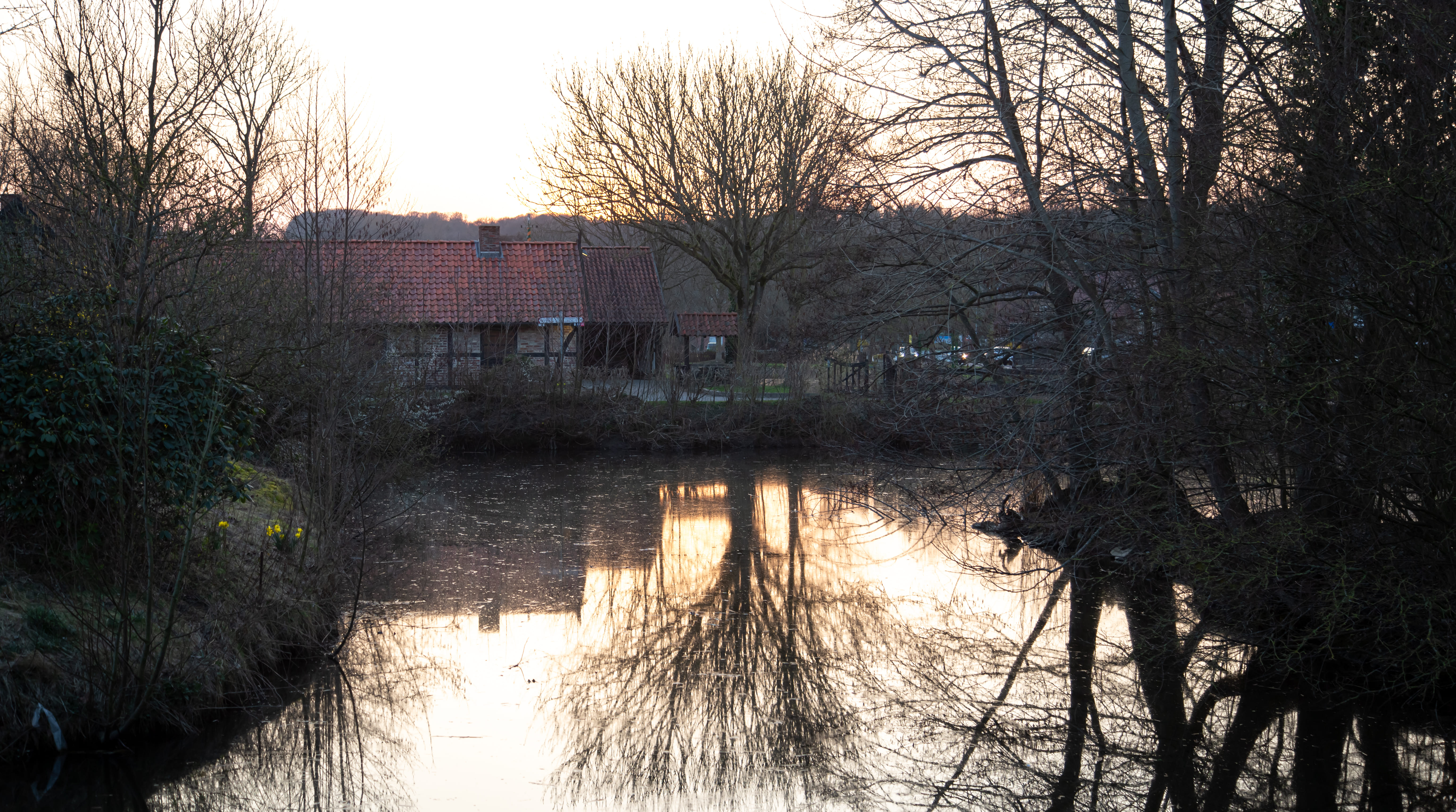 rural-landscape-reflection-tree-pond-sunset (1) (1).jpg